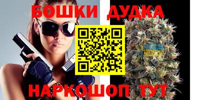 a pvp Лесосибирск