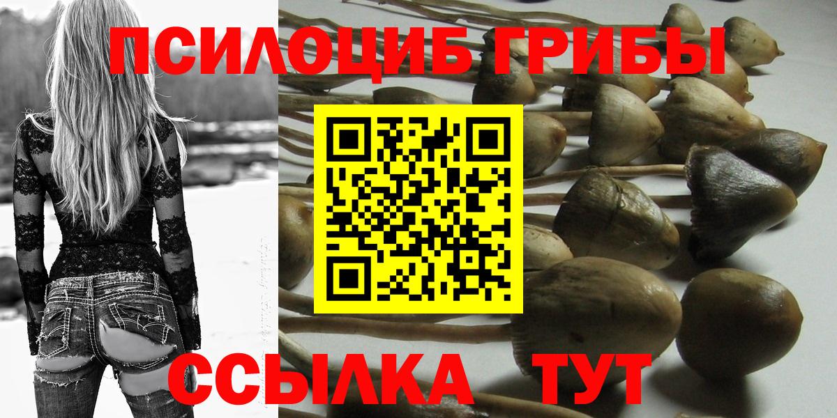 Галлюциногенные грибы Magic Shrooms  Вход с VPN  Тамбов  Галлюциногенные грибы прущие грибы 